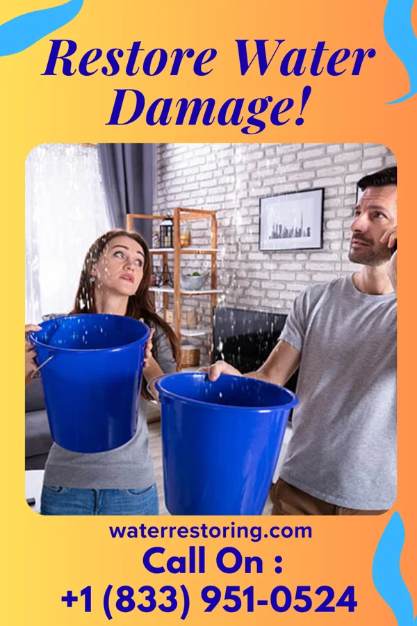 water restoration Prestige Cleanup Experts Bear